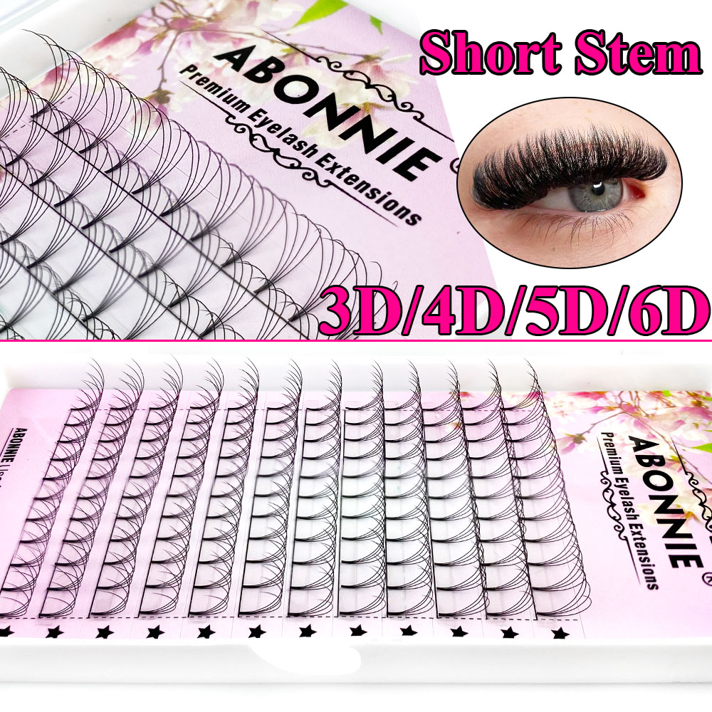 Abonnie 6D Narrow Fan Premade  - Lash Fan Volume ulasan dan harga